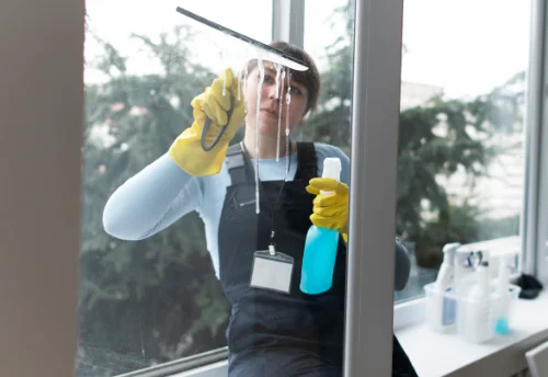 Nettoyage de vitres intérieures et extérieures à Baudemont